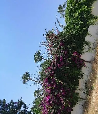 Villa Cimtur Tatil Sitesi 3+1 *